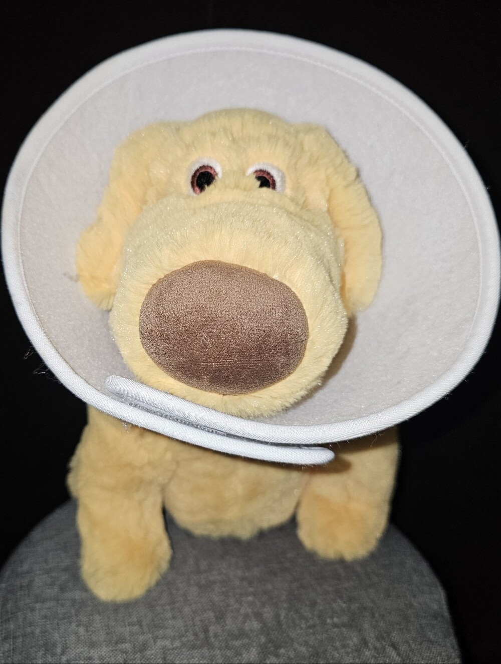 Disney Parks Pixar Movie UP DUG Plush Dog with Removable Collar  10"